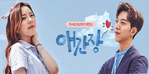 Drama Korea Longing Heart Subtitle Indonesia