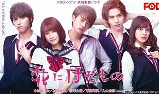 Download Drama Jepang Hana ni Kedamono Subtitle Indonesia